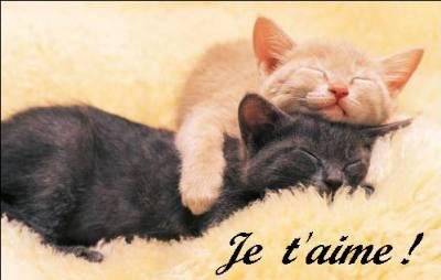 je t'aime